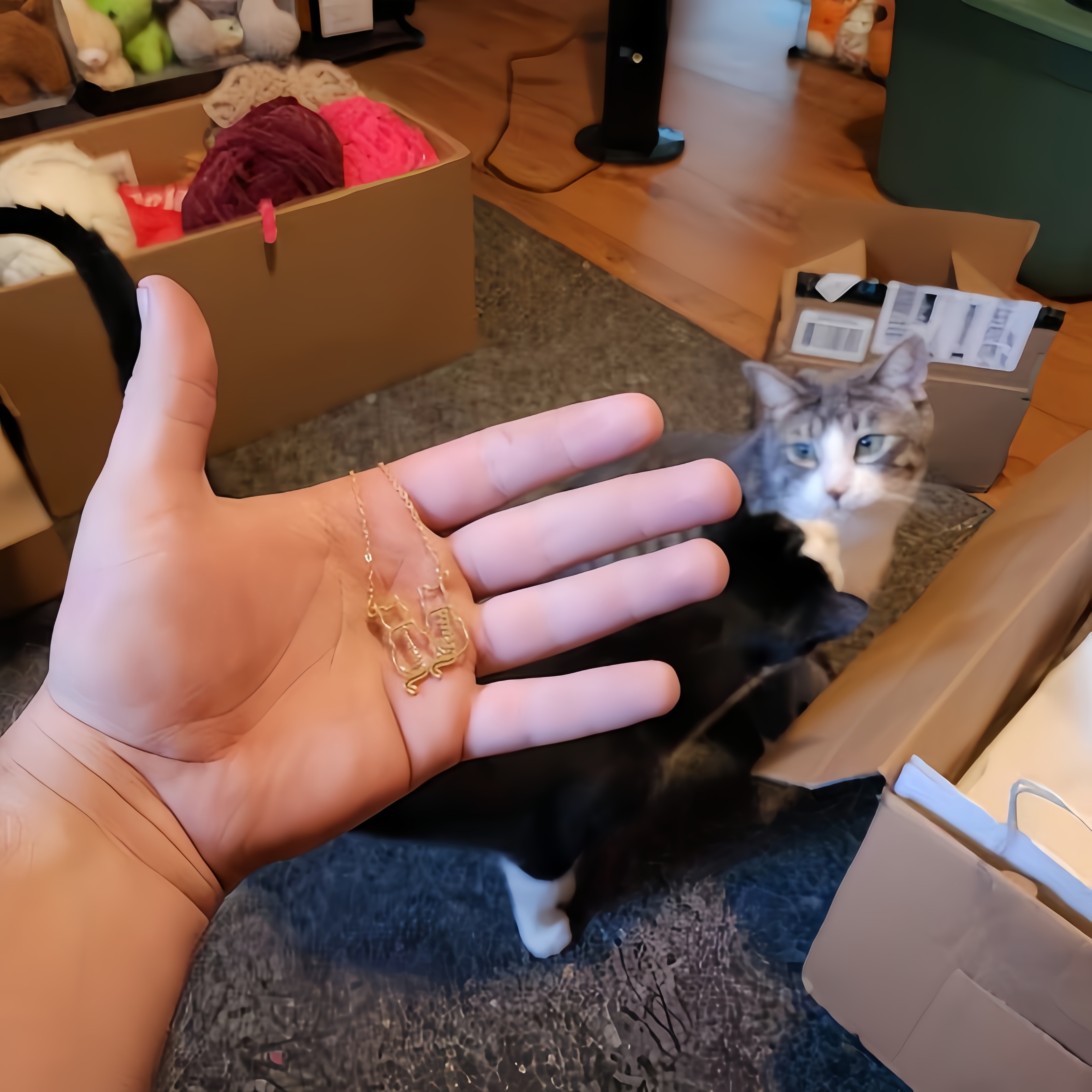 Personalized Cat Name Necklace - Xl Women'S Fashion のレビューと価格
